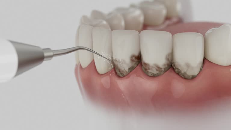 Reliable Dental contractor in Farmington, MI by Dentist Open Now